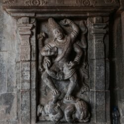 pexels-roman-saienko-1867764487-31969423